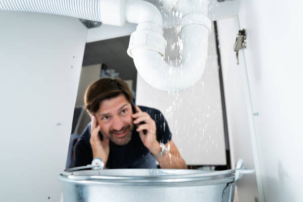 Best Leak Detection Services  in Forest Lake, MN